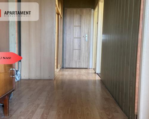 3 pokoje niski czynsz