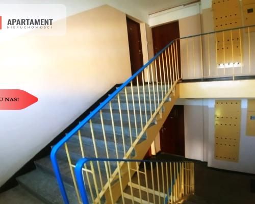 Tylko u nas, Idealne do własnej aranżacji