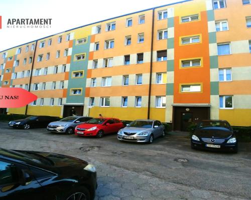 Tylko u nas, Idealne do własnej aranżacji