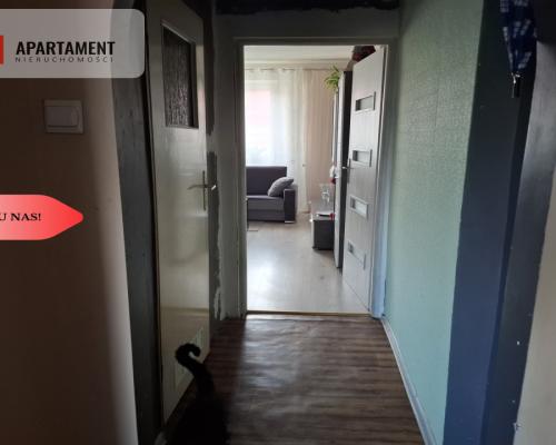 Okazja cenowa! M3 bezczynszowe 15 minut od Legnicy