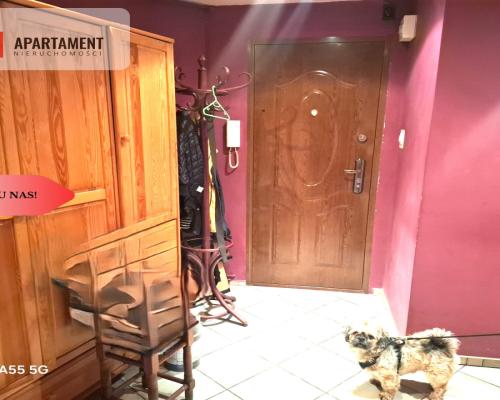 M2 w sercu Legnicy  niskie koszty utrzymania