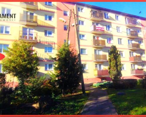 Tylko w naszym biurze 43 metry z potencjałem