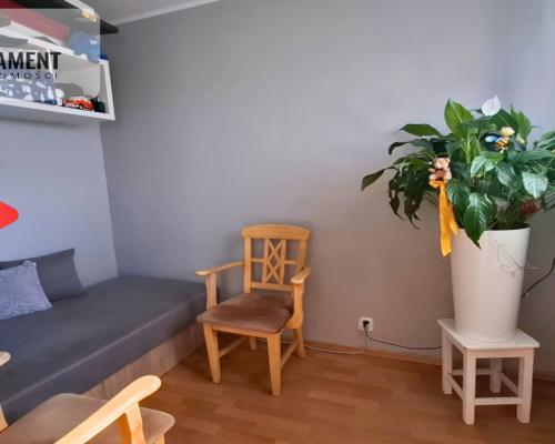 Słoneczna kawalerka z wnęką na Błoniu