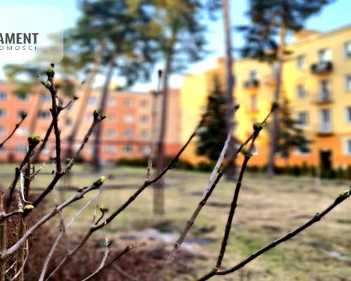 Mieszkanie z balkonem przy parku na Osiedlu Leśnym
