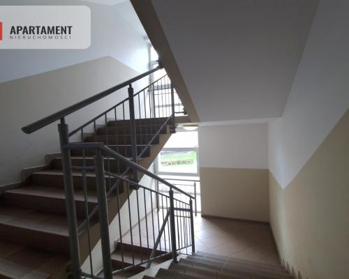 Słoneczne, rozkładowe w pełni wyposażone