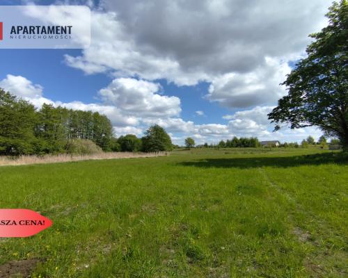 Działka blisko natury!