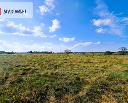 Blisko morza i jeziora wśród przepięknej przyrody