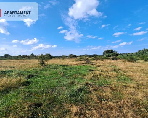 Blisko morza i jeziora wśród przepięknej przyrody