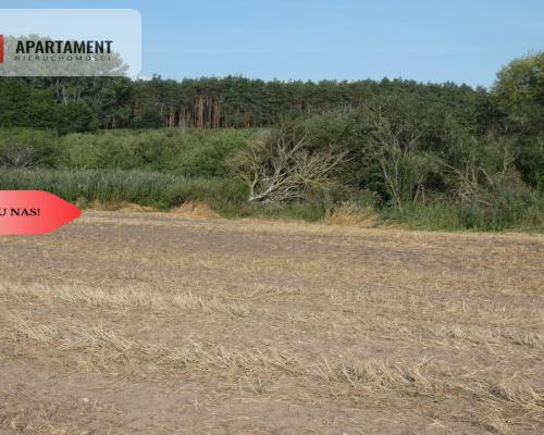 Działka bez sąsiedztwa blisko lasu i jeziora