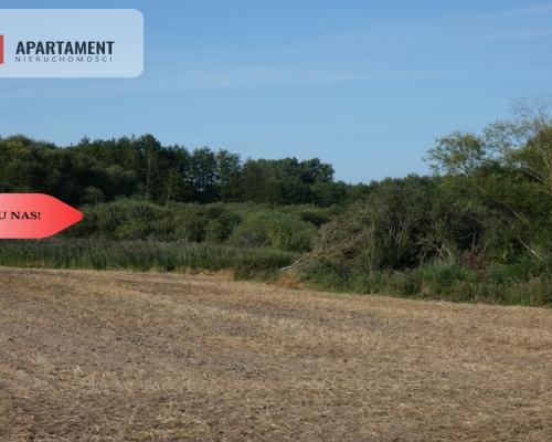 Działka bez sąsiedztwa blisko lasu i jeziora