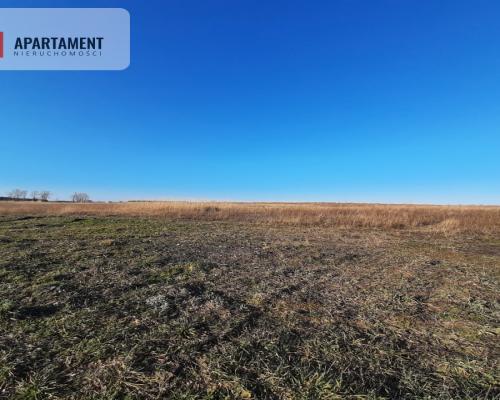 Działki pod budowę domu pod Barcinem!