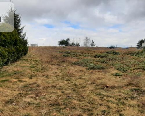 Działka -Dąbrówka Nowa