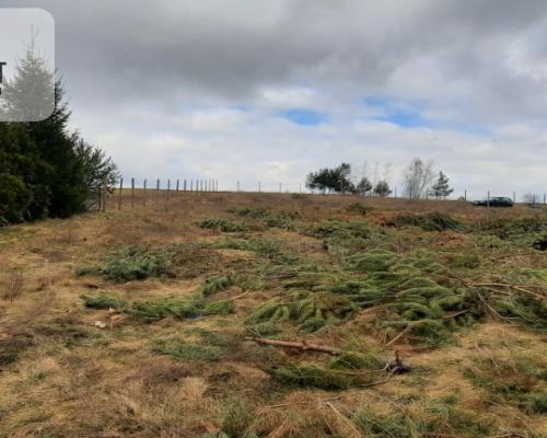 Działka -Dąbrówka Nowa