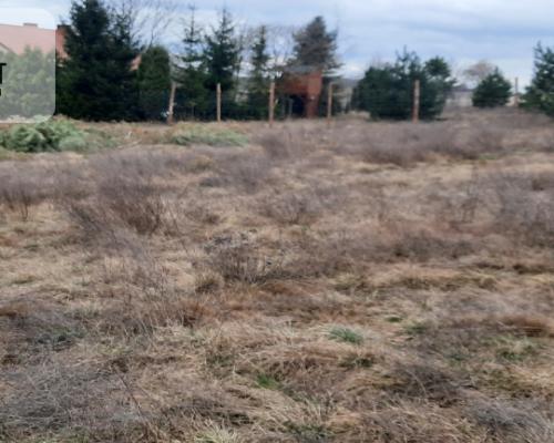 Działka -Dąbrówka Nowa