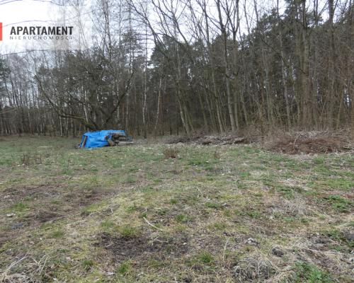 Działka z lasem blisko jeziora