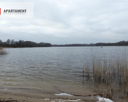 Działka z lasem blisko jeziora