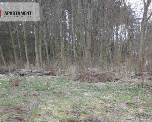 Działka z lasem blisko jeziora
