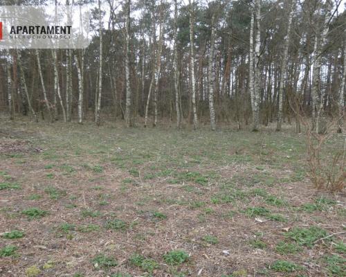 Działka z lasem blisko jeziora