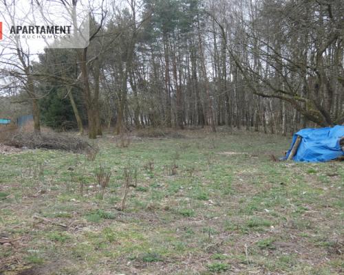 Działka z lasem blisko jeziora