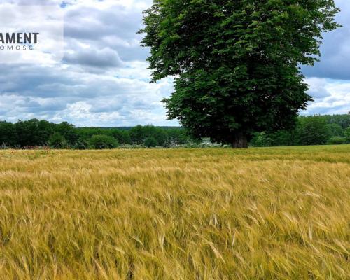 Wybuduj dom -  Krajeński Park Krajobrazowy!