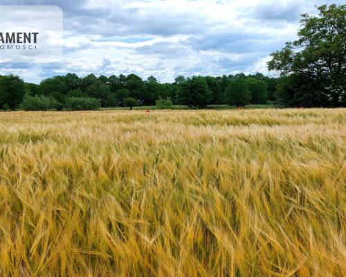 Wybuduj dom -  Krajeński Park Krajobrazowy!