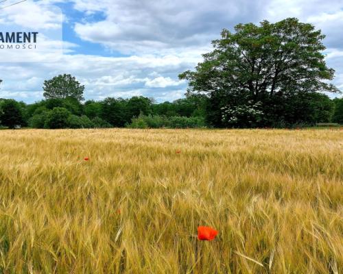 Wybuduj dom -  Krajeński Park Krajobrazowy!
