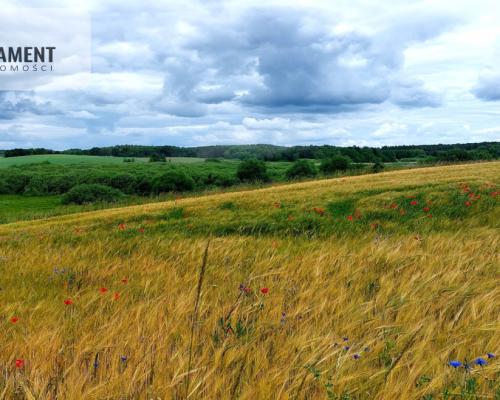 Wybuduj dom -  Krajeński Park Krajobrazowy!