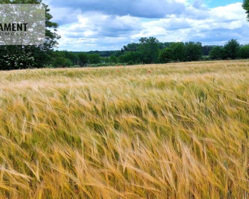 Wybuduj dom -  Krajeński Park Krajobrazowy!