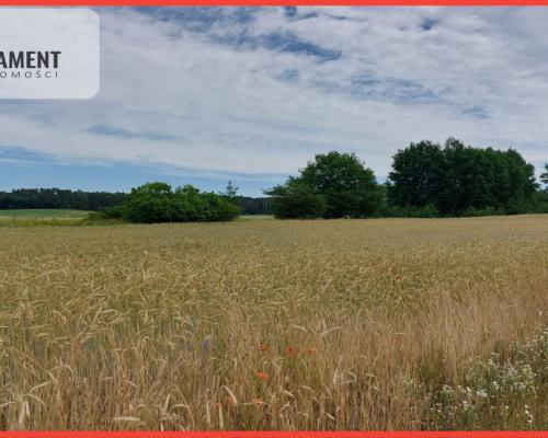 Działka z warunkami zabudowy - 200m od lustra wody