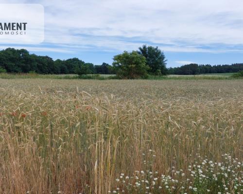 Działka z warunkami zabudowy - 200m od lustra wody