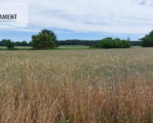 Działka z warunkami zabudowy - 200m od lustra wody