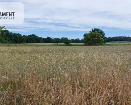 Działka z warunkami zabudowy - 200m od lustra wody