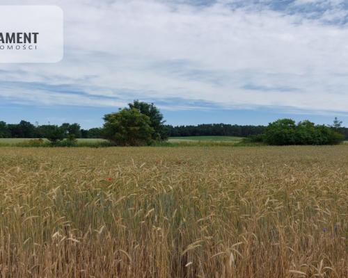 Działka z warunkami zabudowy - 200m od lustra wody