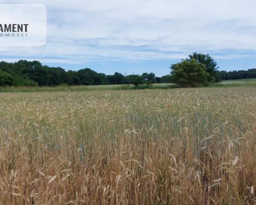 Działka z warunkami zabudowy - 200m od lustra wody