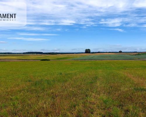 Działki budowlane Witunia, Piękna okolica.