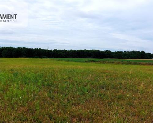 Działki budowlane Witunia, Piękna okolica.