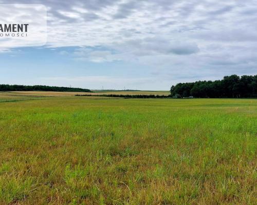 Działki budowlane Witunia, Piękna okolica.