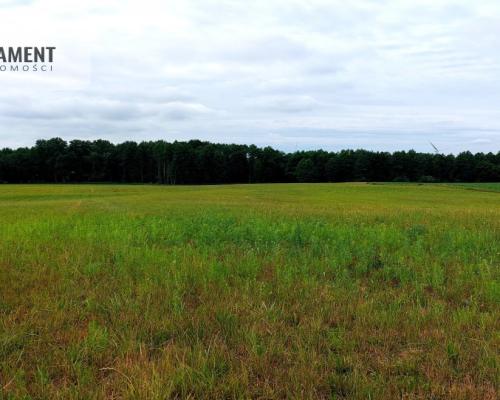 Działki budowlane Witunia, Piękna okolica.