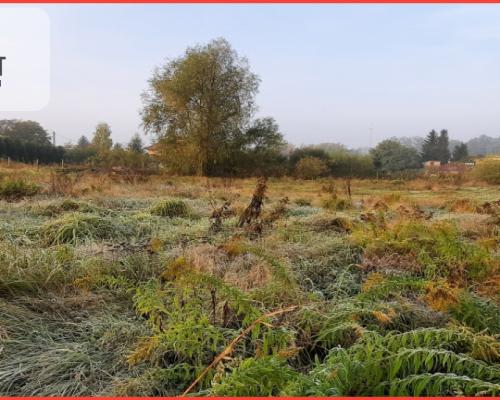 Działka budowlana / usługowa