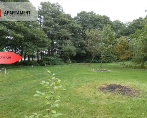 Działka z linią brzegową nad jeziorem Ostrowickim