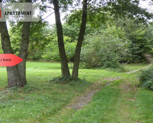 Działka z linią brzegową nad jeziorem Ostrowickim