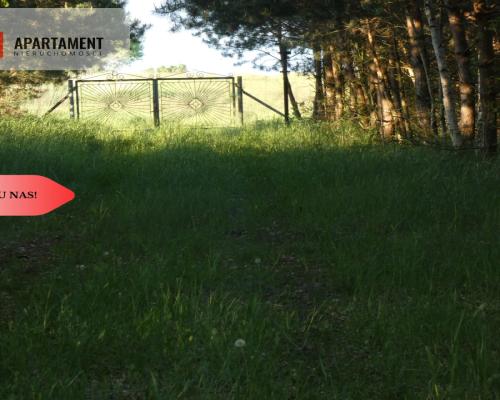 Działka nad jeziorem Zioło - Tylko u nas!