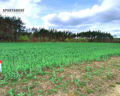 Piękna działka przy samym lesie !!!