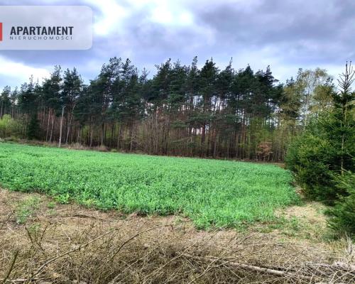 Piękna działka przy samym lesie !!!