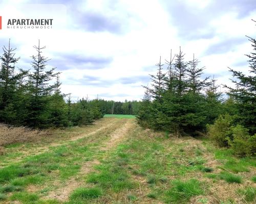Piękna działka przy samym lesie !!!