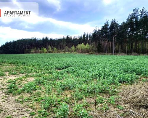 Piękna działka przy samym lesie !!!