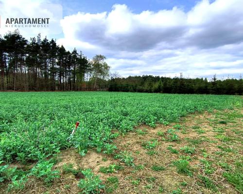 Piękna działka przy samym lesie !!!