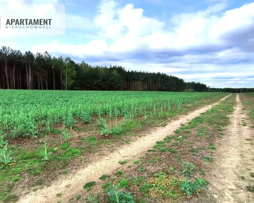 Piękna działka przy samym lesie !!!