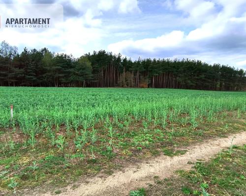 Piękna działka przy samym lesie !!!