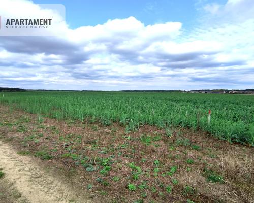 Piękna działka przy samym lesie !!!